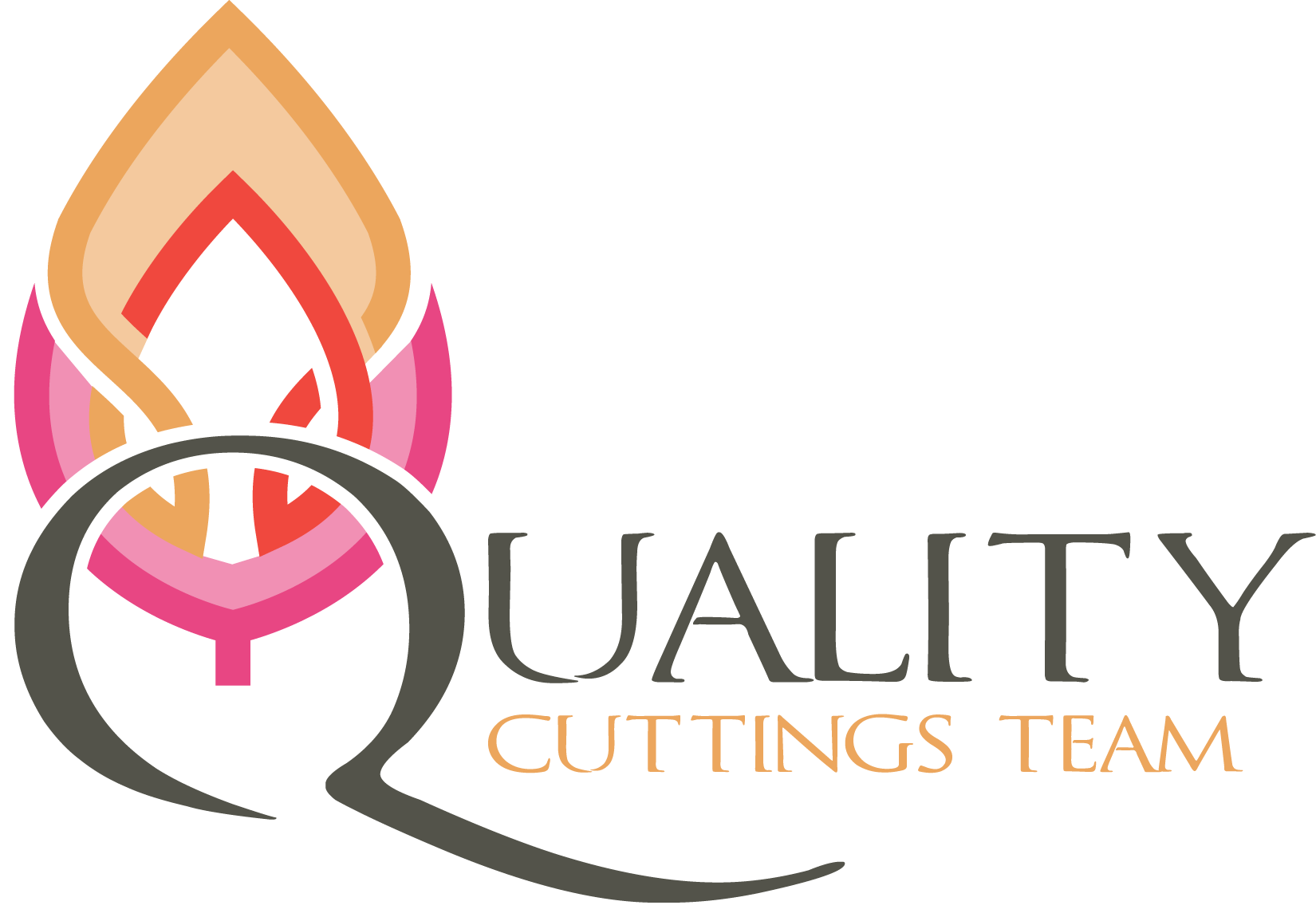 QCT logo